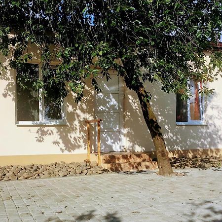 Emilia - Villa & Parking Moekatsjeve Buitenkant foto